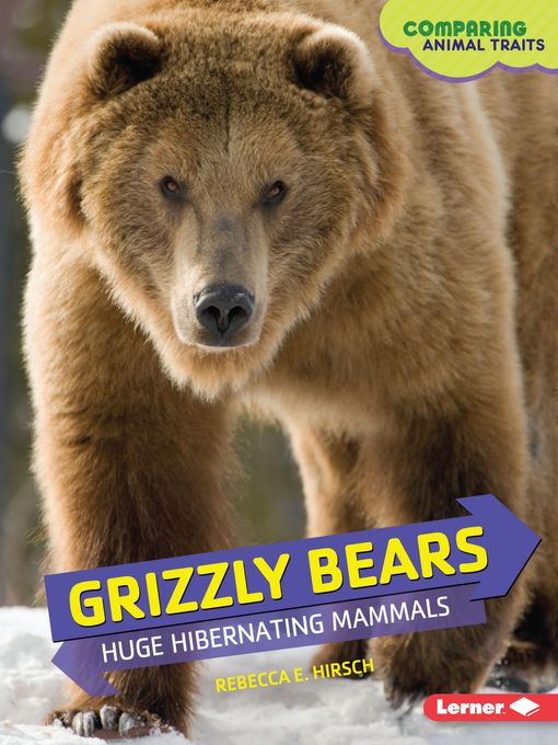 Title details for Grizzly Bears by Rebecca E. Hirsch - Available